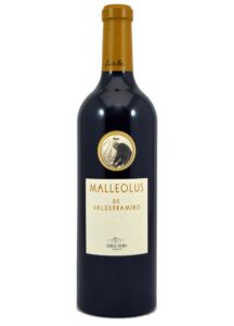 Malleolus De Valderramiro 2019