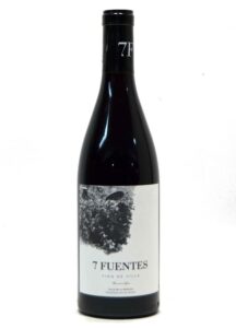 Suertes Del Marques 7 Fuentes 2019