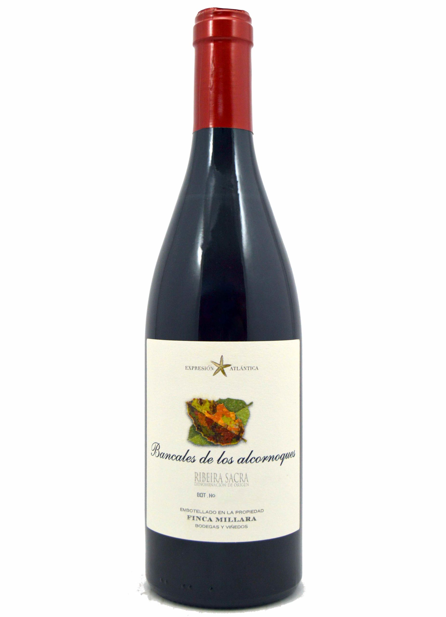 Bancales De Los Alcornoques 2017