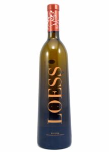 Loess Verdejo 2021