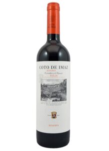 Coto Imaz Reserva 2019