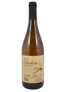 Memoria de Ventura Godello