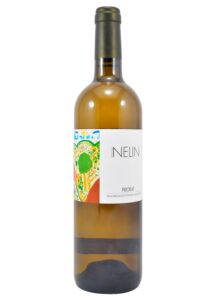 Nelin 2021
